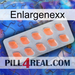 Enlargenexx 26